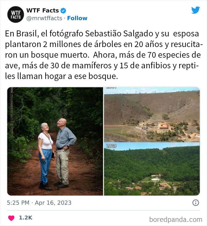 20 Nuevos datos de esta cuenta de Twitter que te dejarán alucinando