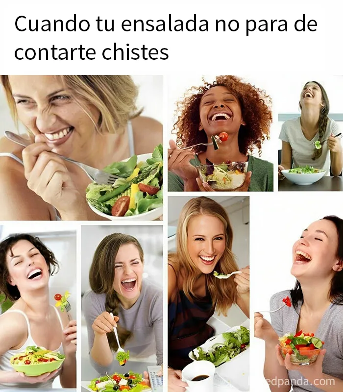 15 Memes divertidos y educados que no se ríen de nadie
