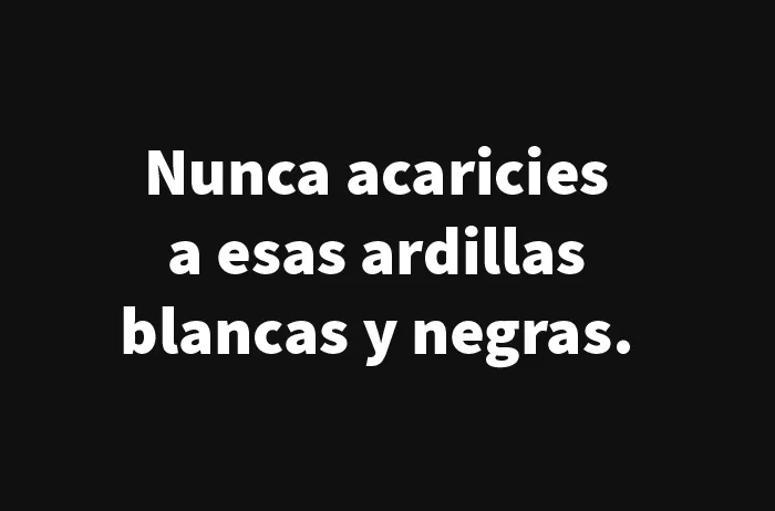15 Memes divertidos y educados que no se ríen de nadie