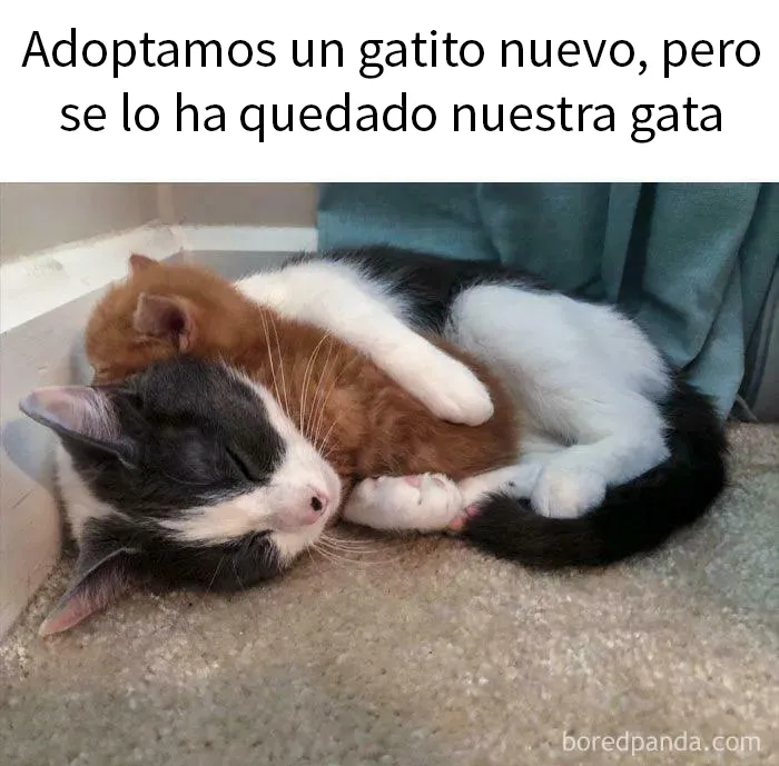 20 Imágenes "bendecidas" que pueden ser lo que necesitas hoy