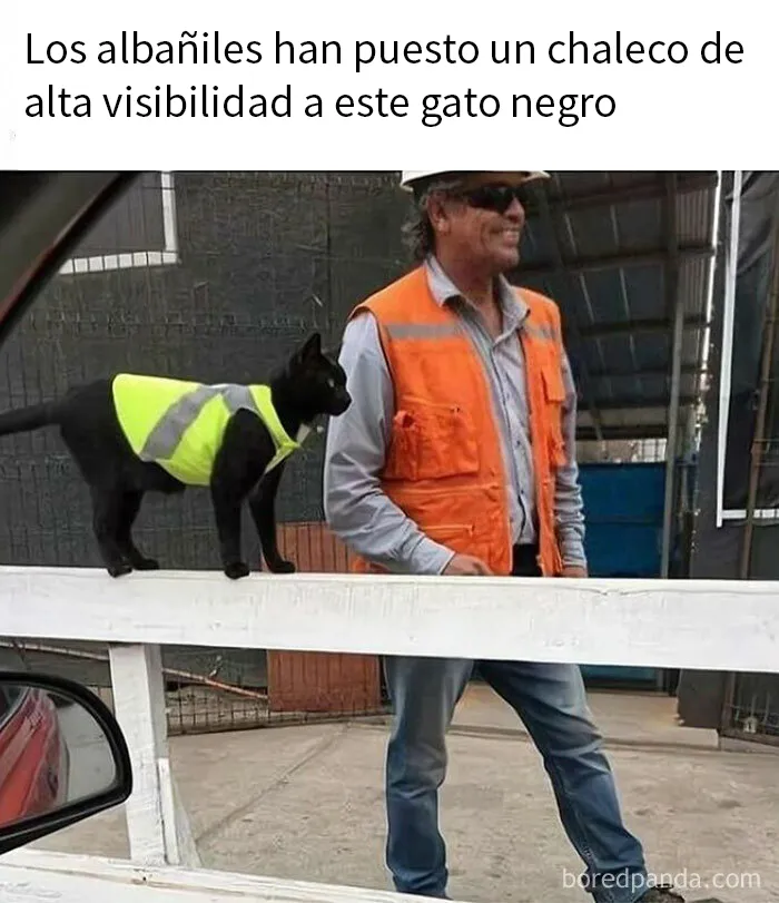 20 Imágenes "bendecidas" que pueden ser lo que necesitas hoy