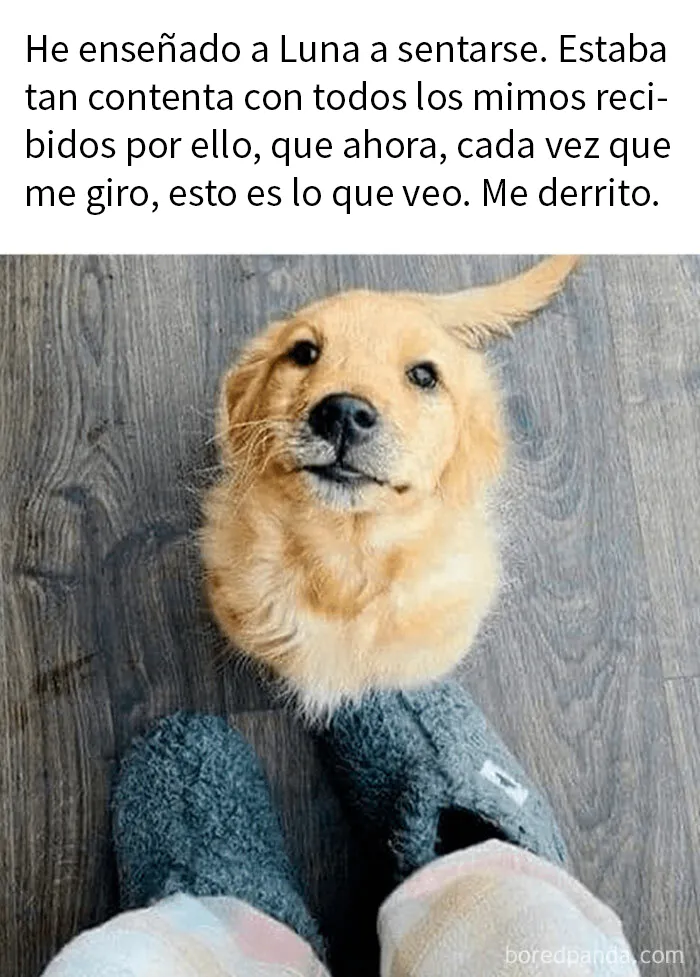 20 Imágenes "bendecidas" que pueden ser lo que necesitas hoy