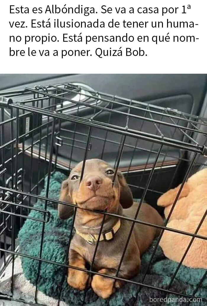 20 Imágenes "bendecidas" que pueden ser lo que necesitas hoy