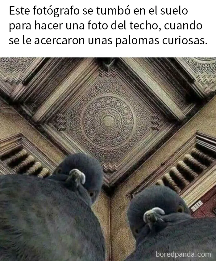 20 Imágenes "bendecidas" que pueden ser lo que necesitas hoy
