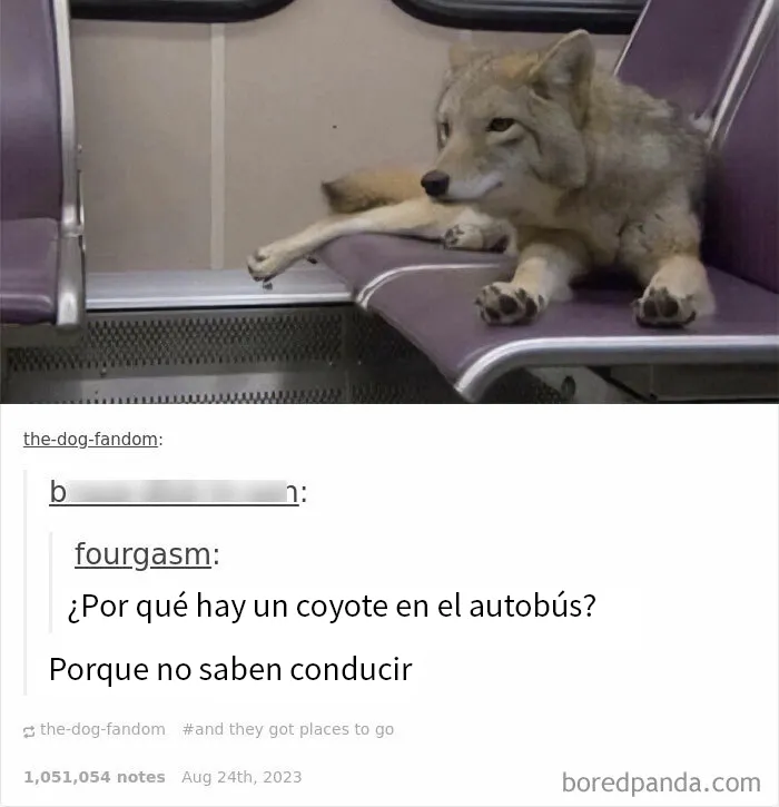 20 Imágenes "bendecidas" que pueden ser lo que necesitas hoy