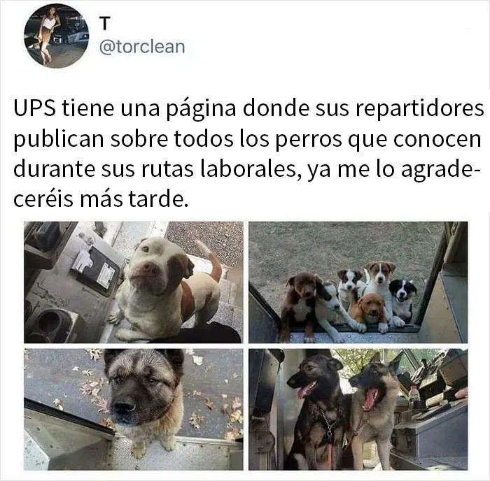 20 Imágenes "bendecidas" que pueden ser lo que necesitas hoy