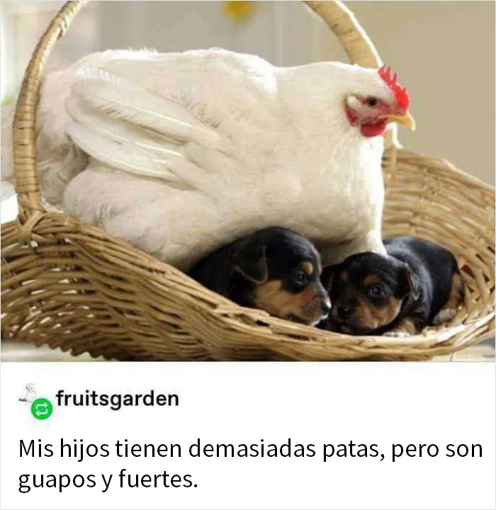 20 Imágenes "bendecidas" que pueden ser lo que necesitas hoy