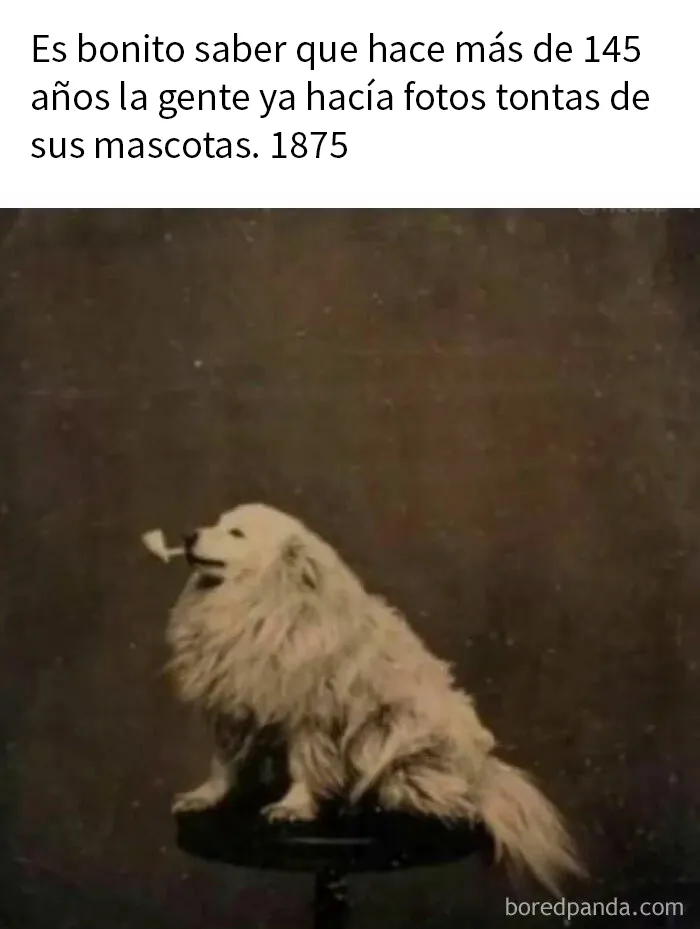 20 Imágenes "bendecidas" que pueden ser lo que necesitas hoy