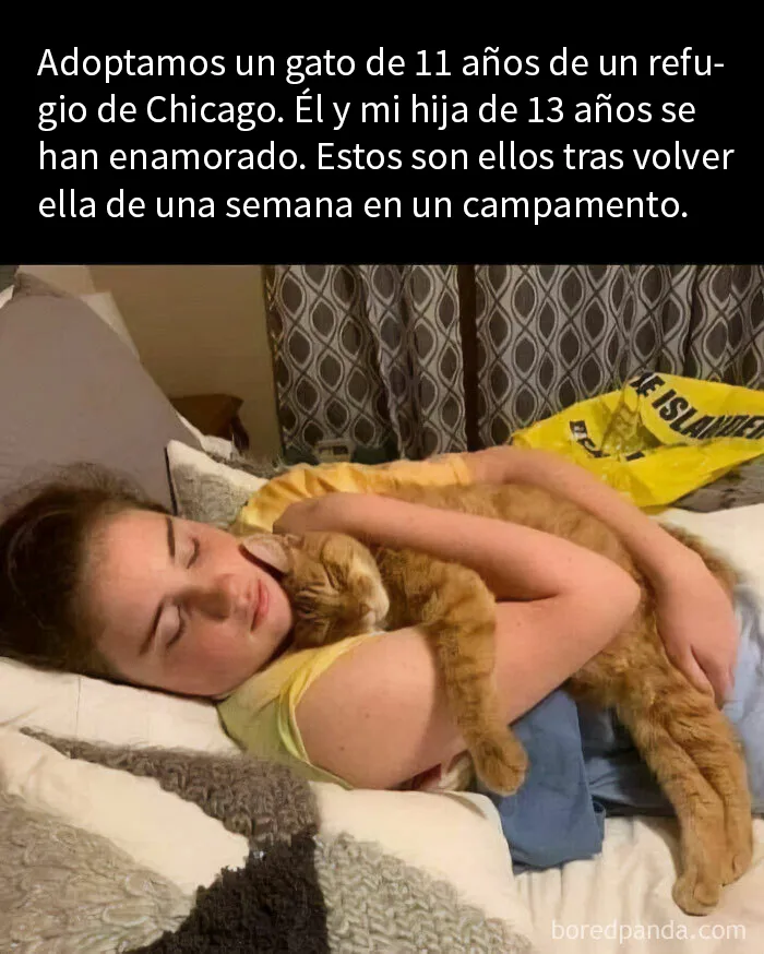 20 Imágenes "bendecidas" que pueden ser lo que necesitas hoy