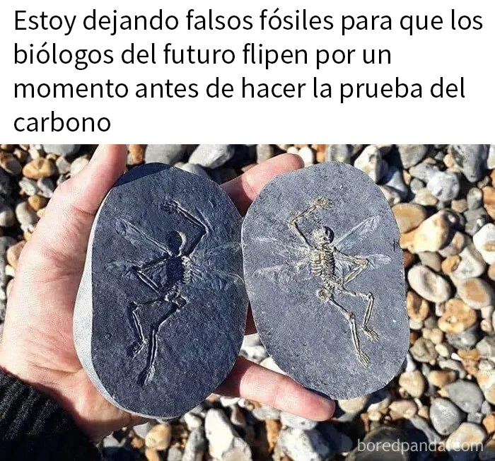 20 Memes científicos llenos de datos y sobre todo, humor (nuevas imágenes)