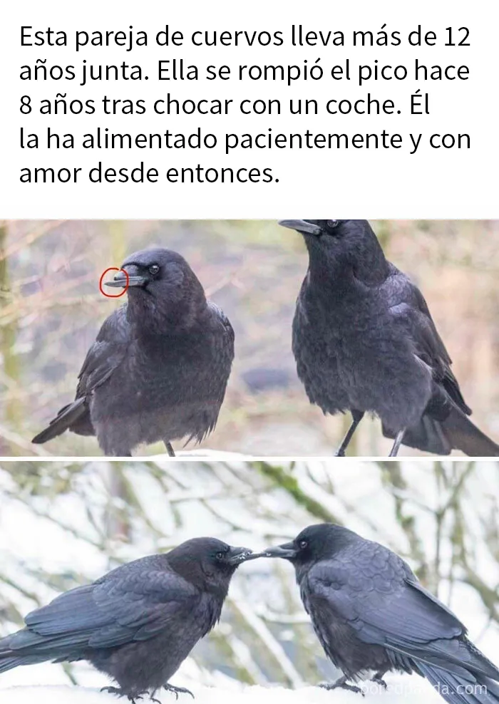 20 Memes científicos llenos de datos y sobre todo, humor (nuevas imágenes)