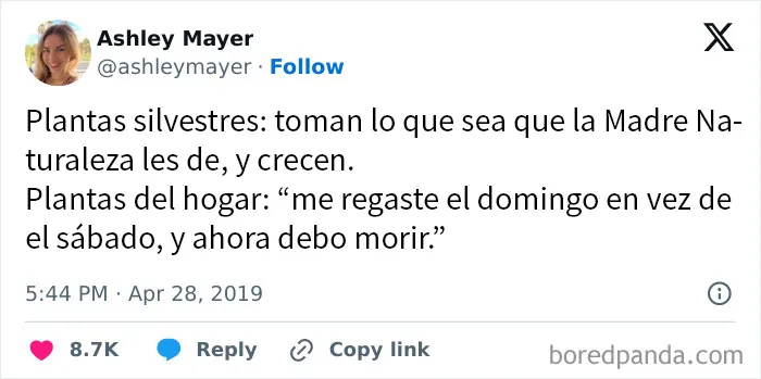 20 Memes científicos llenos de datos y sobre todo, humor (nuevas imágenes)