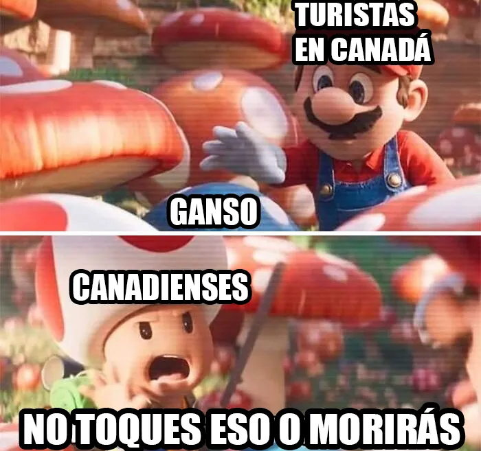 16 Memes y publicaciones que describen Canadá perfectamente