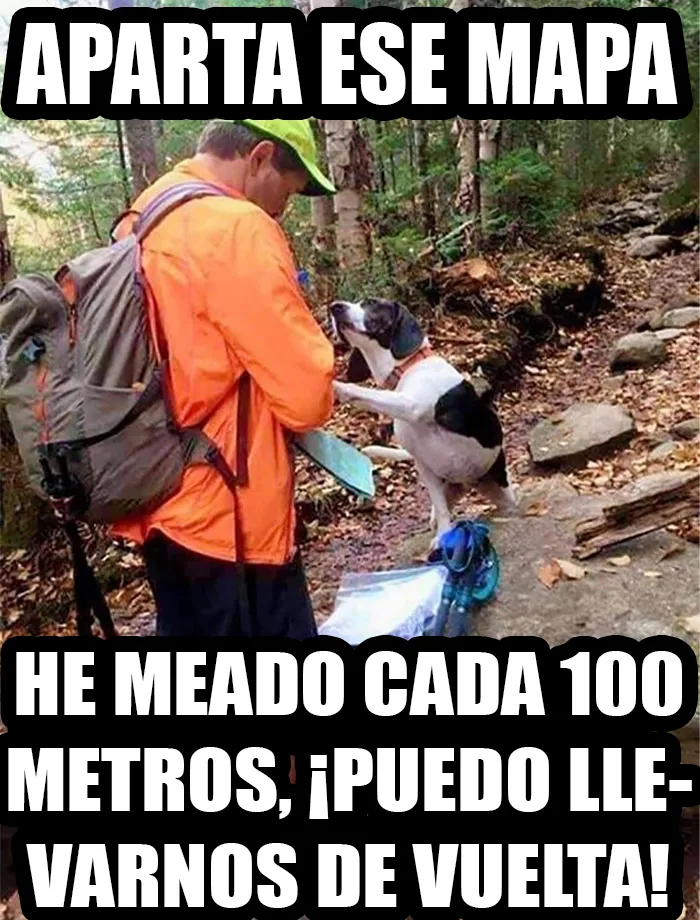 16 Memes y publicaciones que describen Canadá perfectamente