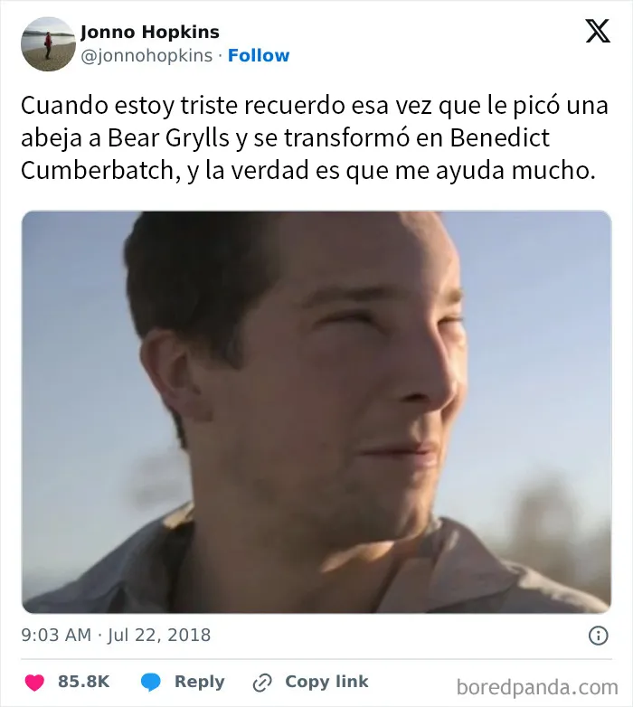 16 Publicaciones de británicos tan divertidas que había que compartirlas