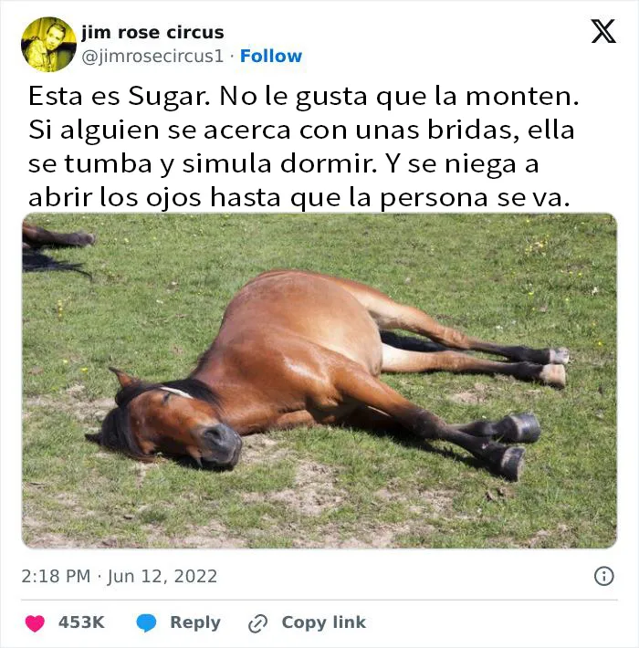16 Publicaciones de británicos tan divertidas que había que compartirlas