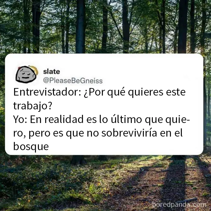 20 Memes entretenidos sobre trabajo con los que reír mientras tu jefe no mira