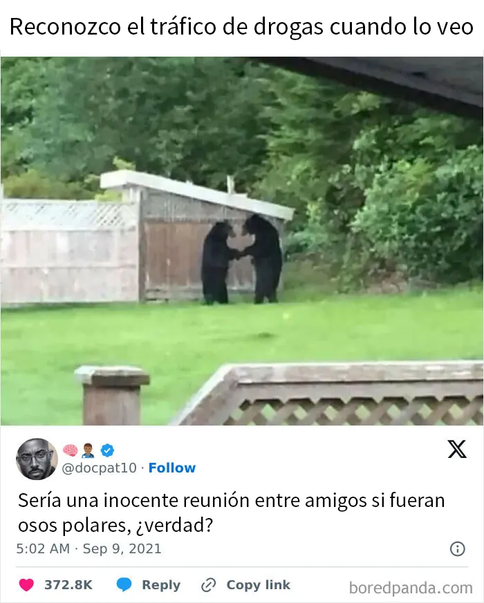 20 Réplicas muy divertidas vistas en internet (nuevas imágenes)