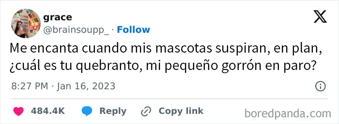 20 Réplicas muy divertidas vistas en internet (nuevas imágenes)