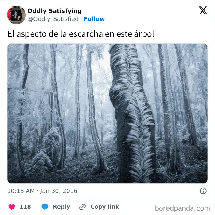 20 Cosas extrañamente satisfactorias que le encantarán a tu perfeccionista interior (Nuevas fotos)