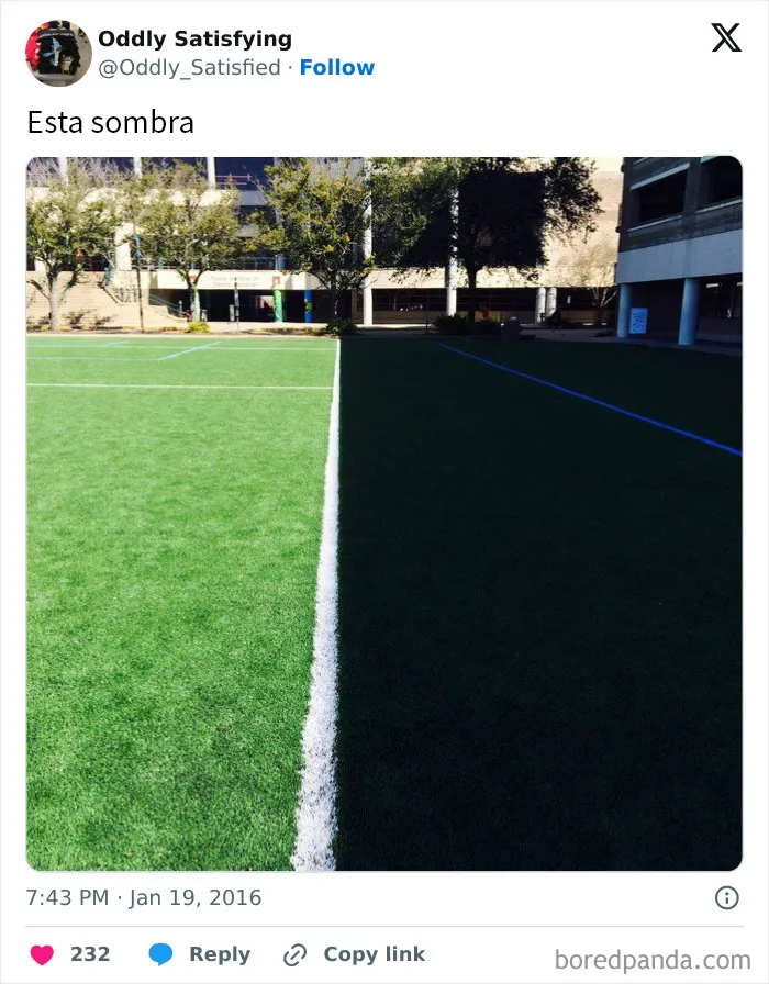 20 Cosas extrañamente satisfactorias que le encantarán a tu perfeccionista interior (Nuevas fotos)