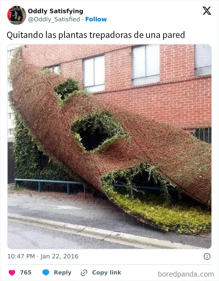 20 Cosas extrañamente satisfactorias que le encantarán a tu perfeccionista interior (Nuevas fotos)