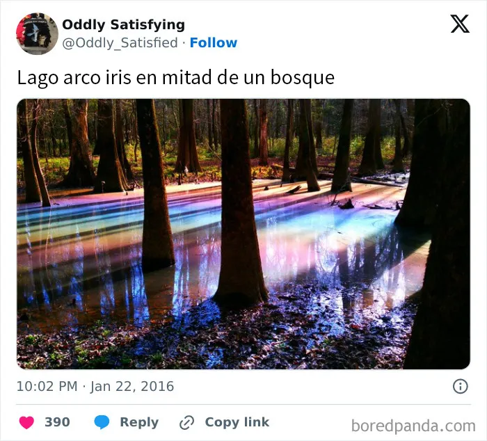 20 Cosas extrañamente satisfactorias que le encantarán a tu perfeccionista interior (Nuevas fotos)