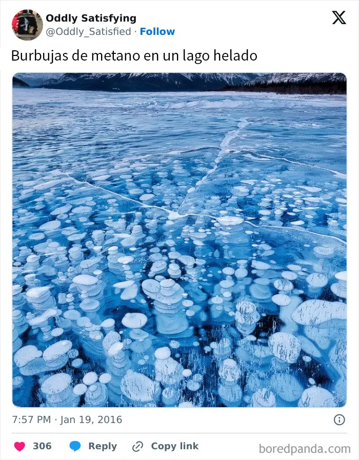 20 Cosas extrañamente satisfactorias que le encantarán a tu perfeccionista interior (Nuevas fotos)