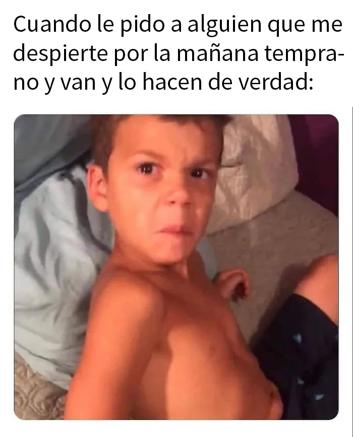 20 Divertidos y acertados memes para hacerte reír