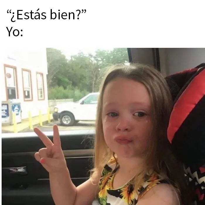 20 Divertidos y acertados memes para hacerte reír