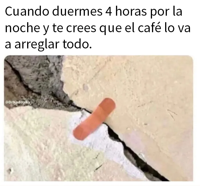 20 Divertidos y acertados memes para hacerte reír