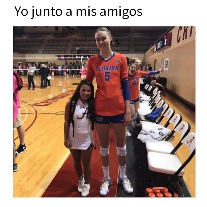 20 Divertidos y acertados memes para hacerte reír