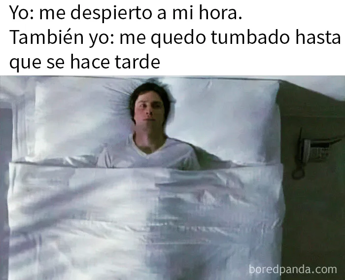 20 Divertidos y acertados memes para hacerte reír