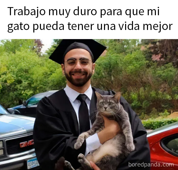 20 Divertidos y acertados memes para hacerte reír
