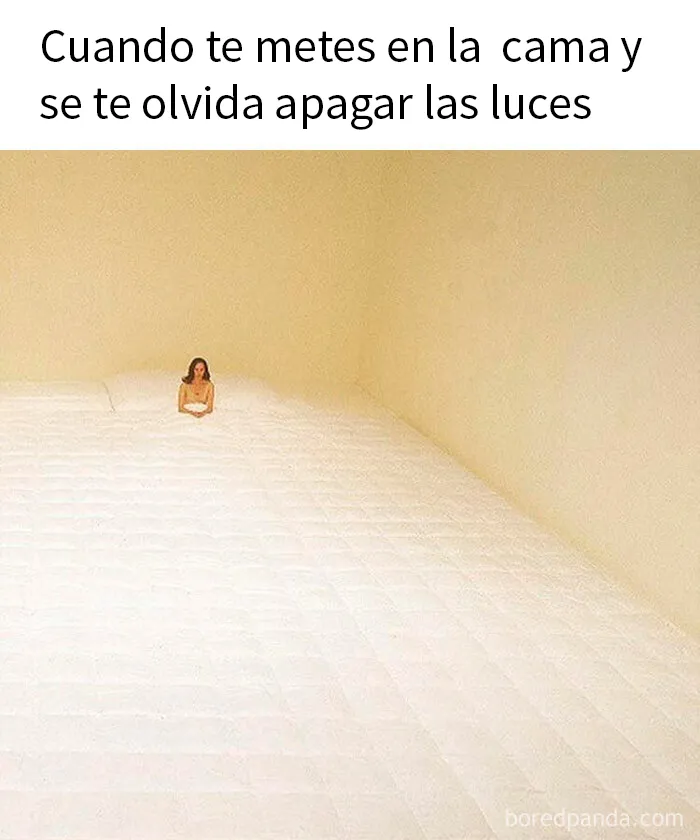 20 Divertidos y acertados memes para hacerte reír