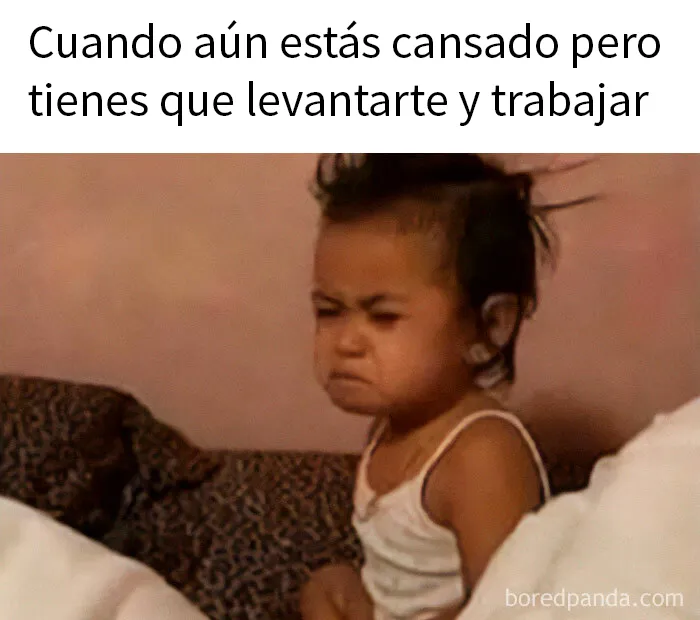 20 Divertidos y acertados memes para hacerte reír