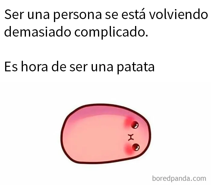 20 Divertidos y acertados memes para hacerte reír