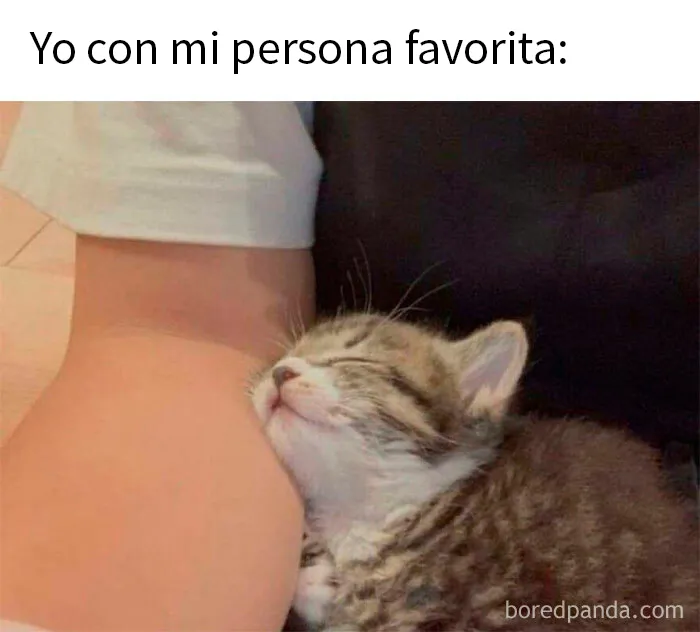 20 Divertidos y acertados memes para hacerte reír