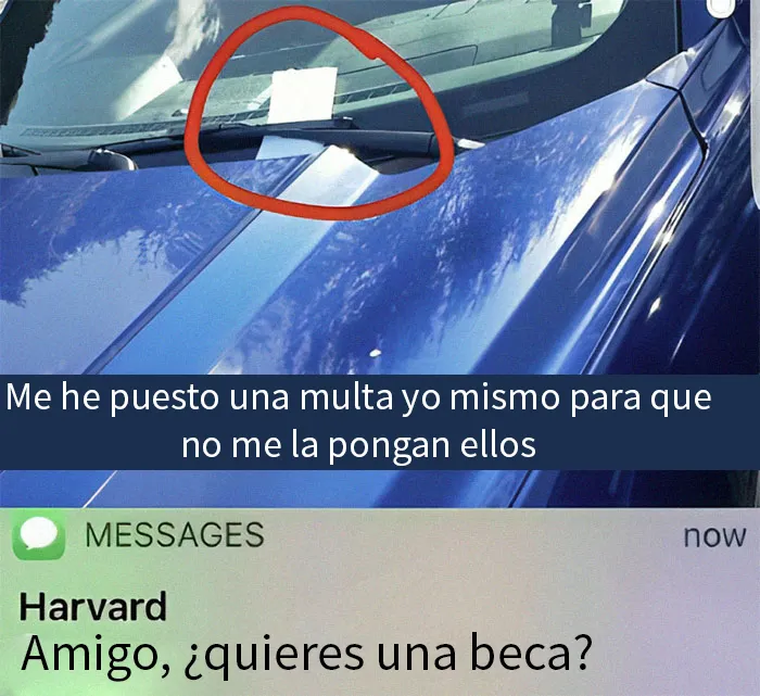 20 Memes raros para quienes andan algo trastornados