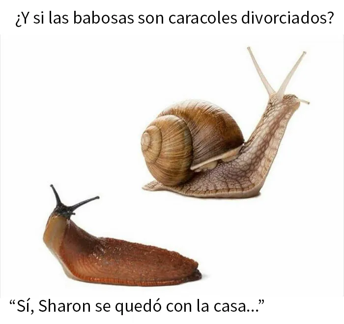 20 Memes raros para quienes andan algo trastornados