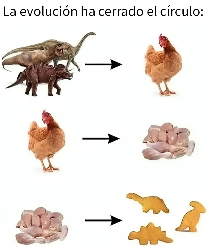 20 Memes raros para quienes andan algo trastornados