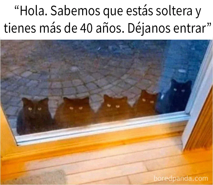20 Memes raros para quienes andan algo trastornados