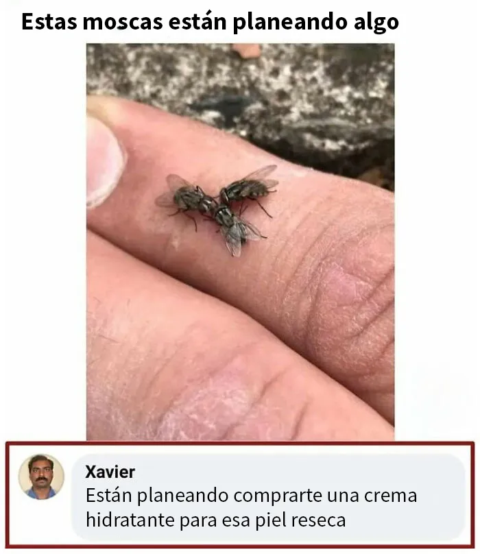 18 Respuestas de este tipo llamado Xavier que son pura comedia (nuevas imágenes)