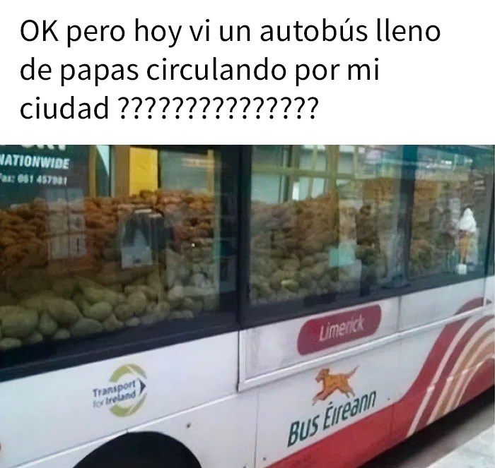 20 Ejemplos demostrando que en Irlanda existe el verdadero sentido del humor