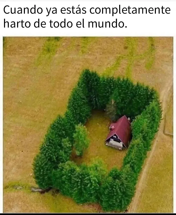 20 Ejemplos demostrando que en Irlanda existe el verdadero sentido del humor