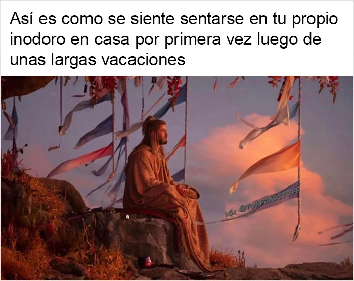 20 Memes sobre la vida cotidiana con los que te partirás de risa