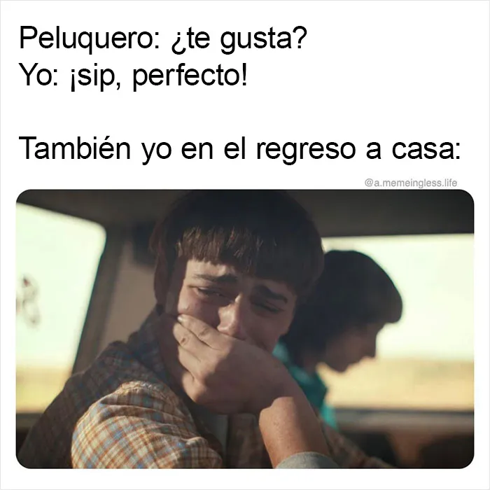 20 Memes sobre la vida cotidiana con los que te partirás de risa