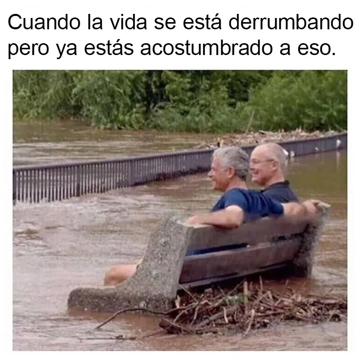 20 Memes muy divertidos sobre introvertidos y sus sentimientos