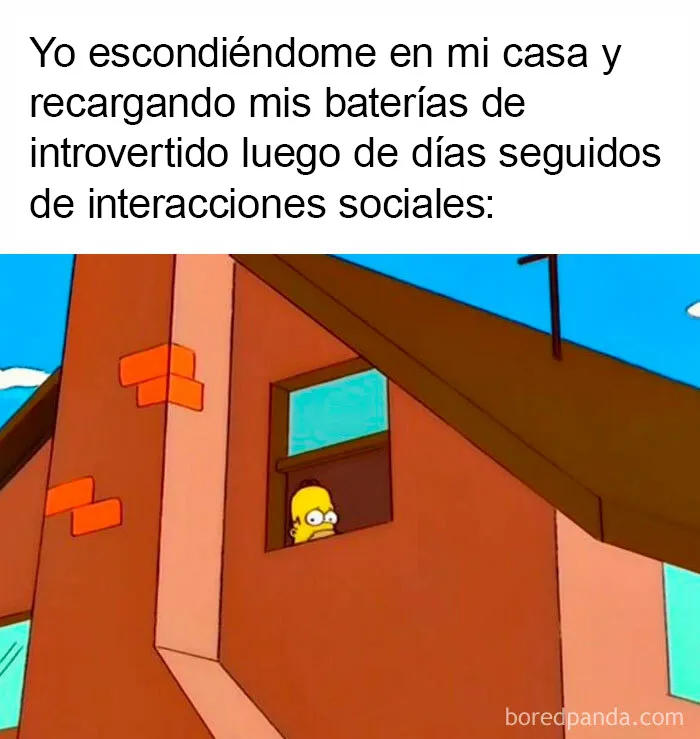 20 Memes muy divertidos sobre introvertidos y sus sentimientos