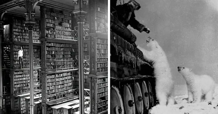 40 Fotos tan interesantes como fascinantes que te darán una nueva perspectiva del pasado